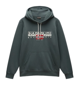 Pull à Capuche Napapijri Homme B-Aylmer Winter Green Urban
