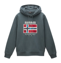 Pull à Capuche Napapijri Homme B-Dorees Green Urban