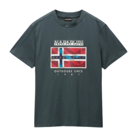 T-Shirt Napapijri S-Dorees SS Herren Green Urban