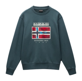 Pull Napapijri Homme B-Dorees Green Urban