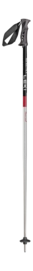 Ski Pole Leki Rental Classic Anodized Natural Silver Eloxal Black