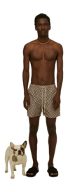 3---aHR0cHM6Ly9vYXMuY2VudHJhY2RuLm5ldC9jbGllbnQvZHluYW1pYy9pbWFnZXMvNjgwX2EwN2ZmY2MxYTUtcHV6emxlLXN3aW0tc2hvcnRzXzUwMDEtMjUwX2Qtb3JpZ2luYWwuanBn-_no-bg