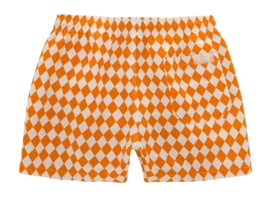 2---692_48c94ec1c7-badshorts-18_b-full-_no-bg