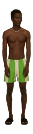 Maillot de Bain OAS Men Emerald Stripe 2024