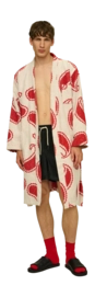 5---aHR0cHM6Ly9vYXMuY2VudHJhY2RuLm5ldC9jbGllbnQvZHluYW1pYy9pbWFnZXMvOTI0X2RjZjZiZGYxODctcmVkLXBhaXNsZXktcm9iZV84MDAyLTIzX2Qtb3JpZ2luYWwuanBn-_no-bg