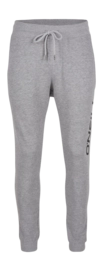 Jogginghose O'Neill Logo Sweatpants Herren Silver Melée -A
