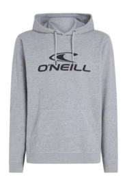 Hoodie O'Neill Men Logo Silver Melee '24
