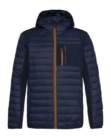 Veste Protest Homme Letton Outdoor Tussenjas Ground Blue