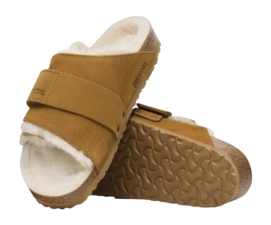 6---1028178_sole-_no-bg