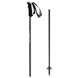 Skistokken HEAD Carbon Prestige
