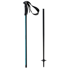 B?tons de Ski HEAD Joy Black Teal