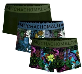 Boxer Muchachomalo Homme Trunk Earth Elements Print Print Green (Lot de 3)