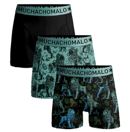 Boxer Muchachomalo Homme Solid Print Print Black (Lot de 3) '24