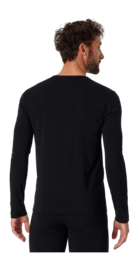 3---shirt-langarm-organic-cotton-rundhals-schwarz-95-5-173812-000-back-_no-bg