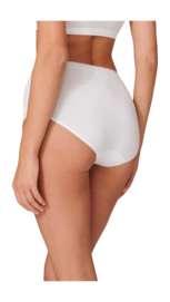 3---175996-100_back-_no-bg