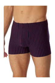 2---shorts-organic-cotton-streifen-mehrfarbig-95-5-1-180499-500-detail2-_no-bg