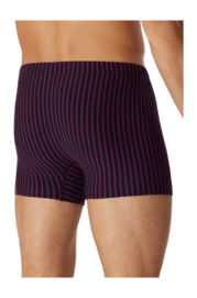 3---shorts-organic-cotton-streifen-mehrfarbig-95-5-1-180499-500-back-_no-bg