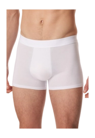 2---shorts-weiss-premium-cotton-1-181529-100-detail2-_no-bg