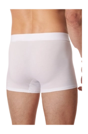 3---shorts-weiss-premium-cotton-1-181529-100-back-_no-bg