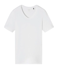 T-Shirt Schiesser Homme 181531 Premium Modal White