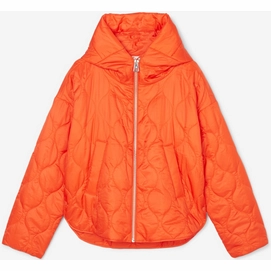 Jacke Marc O'Polo Women 208104570047 Sundown Orange