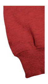 4---APP00033_4000_5_Unisex_Basic_Hoodie_Red-_no-bg