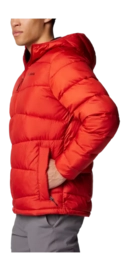 3---2086912_698_a1_om-_no-bg