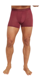 Boxer Shorts Icebreaker Men Anatomica Boxers Port