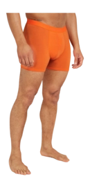 Boxer Icebreaker Homme Anatomica Boxers Blaze