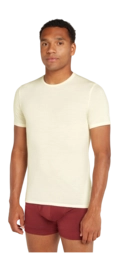 T-Shirt Icebreaker Men Anatomica SS Crewe Undyed '25