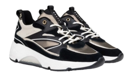 5---Catalina_Bold_Black_Brown_CC223986-957-4-_no-bg