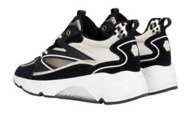 6---Catalina_Bold_Black_Brown_CC223986-957-5-_no-bg
