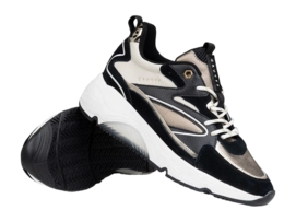 7---Catalina_Bold_Black_Brown_CC223986-957-6-_no-bg