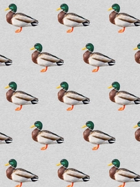 5---FW24_Fabric_quack__repeat (1)