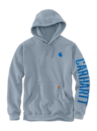 Hoodie Carhartt Men Rain Defender C Graphic Neptune