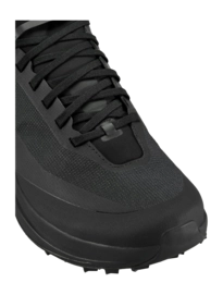 2---F24-X000009601-Sylan-GTX-Shoe-Black-Black-Hover-_no-bg