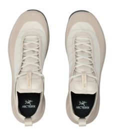 3---S25-X000009602-Vertex-Alpine-GTX-Shoe-Rune-Esoteric-Pair-_no-bg