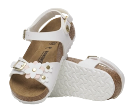 5---1029561_sole