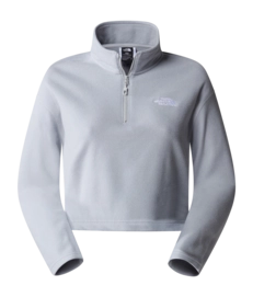 Vest The North Face Women 100 Glacier Cropped 1/4 Zip TNF Light Grey Heather /
