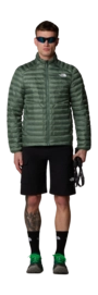 3---85AE_HCH_ALT1 (1)-_no-bg