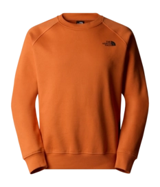 Trui The North Face Men Raglan Box NSE Crew Iron Bronze / TNF Black