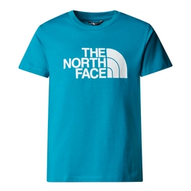 T-Shirt The North Face Kids S/S Easy Tee Digital Steel