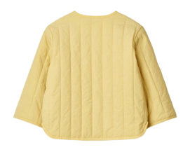 2---lielw18636_ccrispycorn_v1856_1-_no-bg