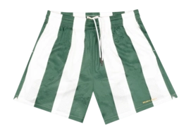 Shorts Bram's Fruit Mesh Herren White-Green Striped