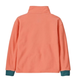 2---large-65380_PKPK_ALTBACK_A-_no-bg