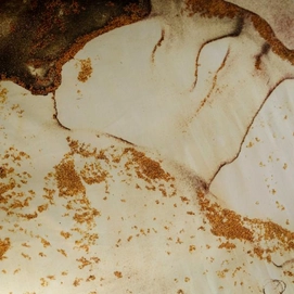 sano2_1_1