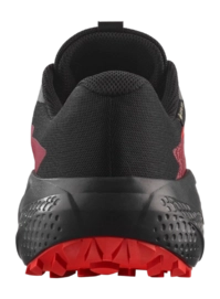3---zapatilla-salomon-alphaglide-gtx-l47802200 (2)-_no-bg
