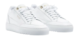 2---tia-squali-white-902457-_no-bg
