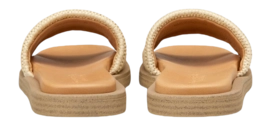 50317911101623_159_2.3-_no-bg