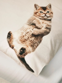 4---kitten-friends-dekbedovertrek-snurk-3